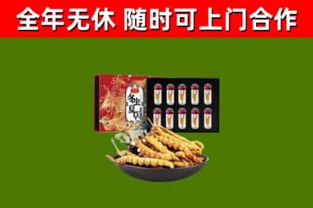 得荣回收冬虫夏草价格
