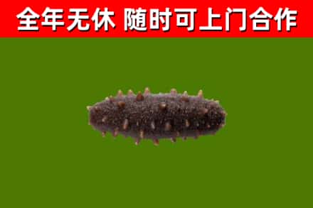 得荣烟酒回收干海参.jpg